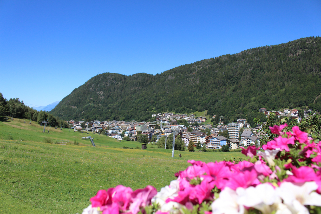 Aprica - I Campetii
